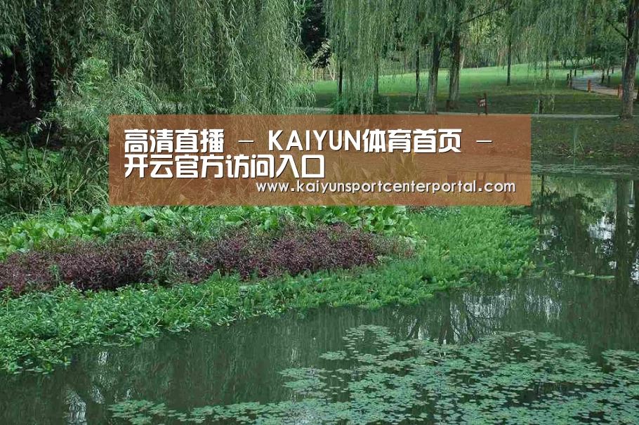 案例展示一(图1)