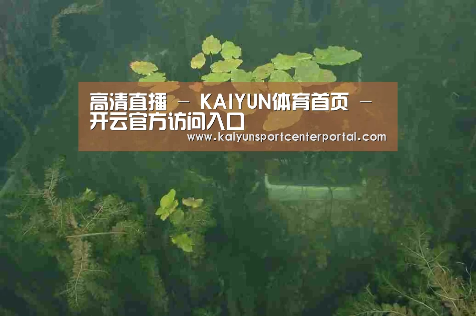 案例展示三