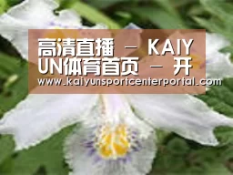 产品名称二