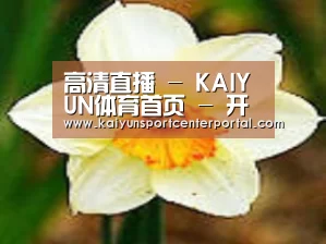 产品名称四