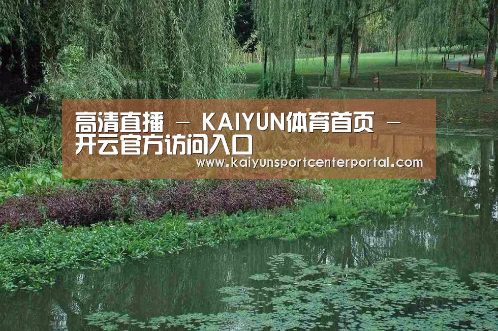 案例展示一
