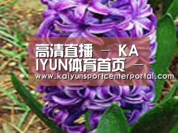 产品名称八