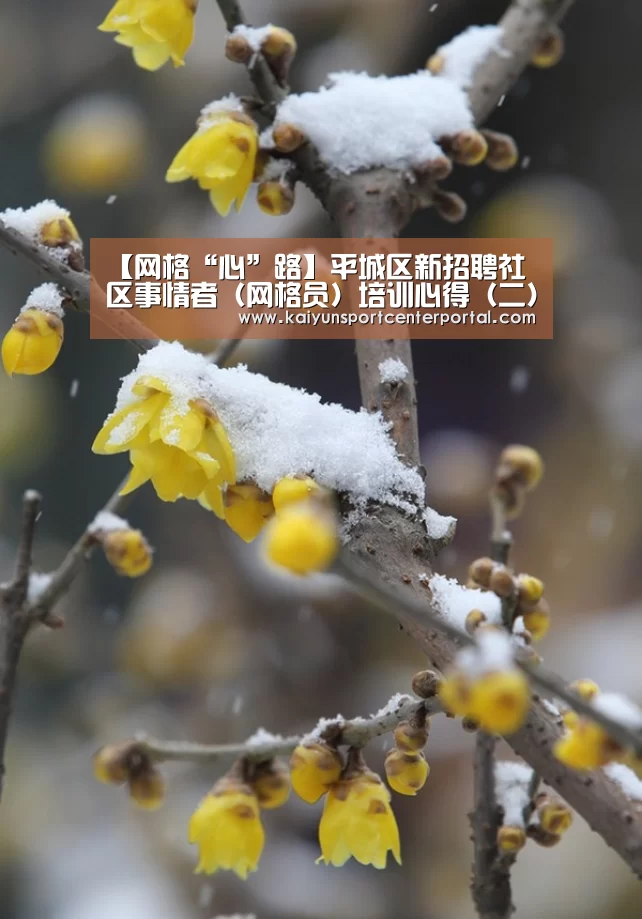 【网格“心”路】平城区新招聘社区事情者(网格员)培训心得(二)_开云热门赛事(图1) 开云热门赛事