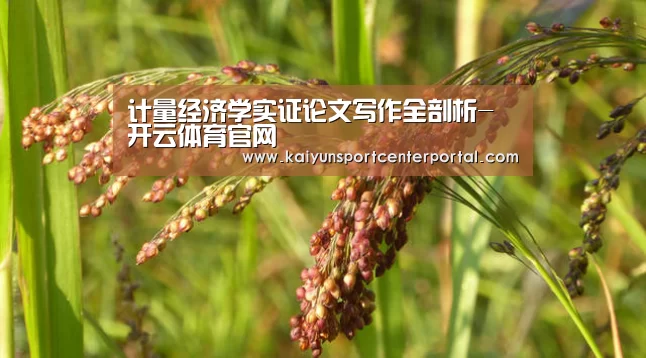 计量经济学实证论文写作全剖析-开云体育官网(图2) 开云官网