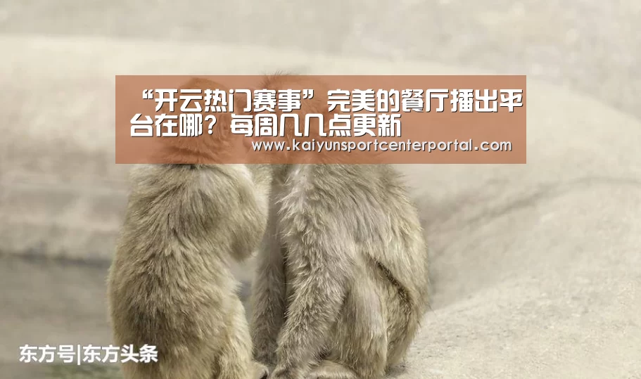 “开云热门赛事”完美的餐厅播出平台在哪? 每周几几点更新(图1) 开云体育官网