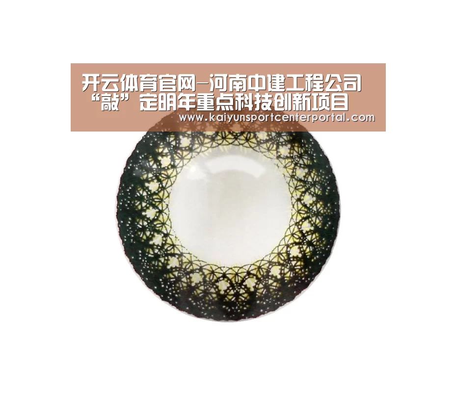 开云体育官网-河南中建工程公司“敲”定明年重点科技创新项目(图4) 开云官网