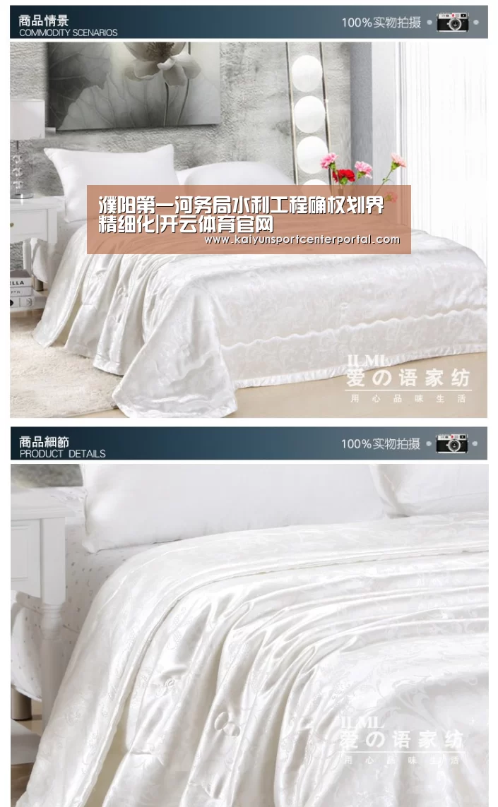 濮阳第一河务局水利工程确权划界精细化|开云体育官网(图1) 濮阳第一河务局水利工程确权划界精细化|开云体育官网(图1)