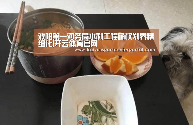濮阳第一河务局水利工程确权划界精细化|开云体育官网(图4) 濮阳第一河务局水利工程确权划界精细化|开云体育官网(图4)
