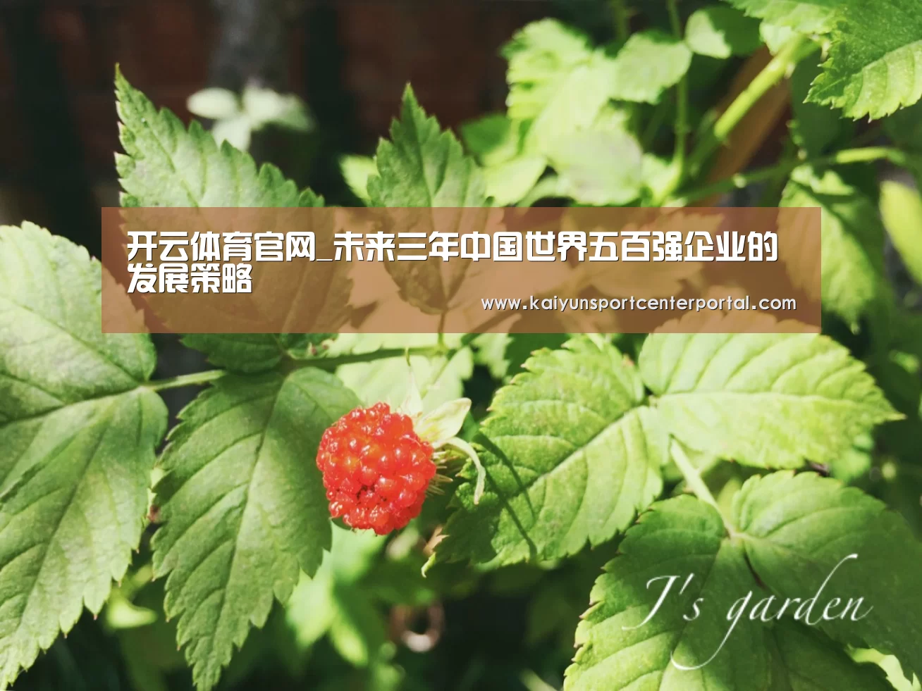 开云体育官网_未来三年中国世界五百强企业的发展策略(图1) 开云体育官网_未来三年中国世界五百强企业的发展策略(图1)