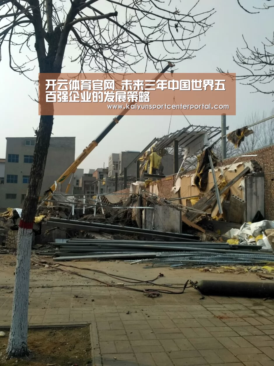 开云体育官网_未来三年中国世界五百强企业的发展策略(图3) 开云体育官网