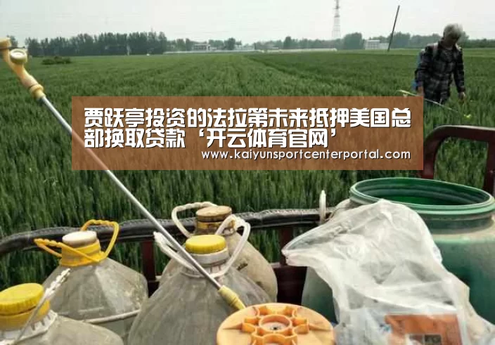 开云体育官网