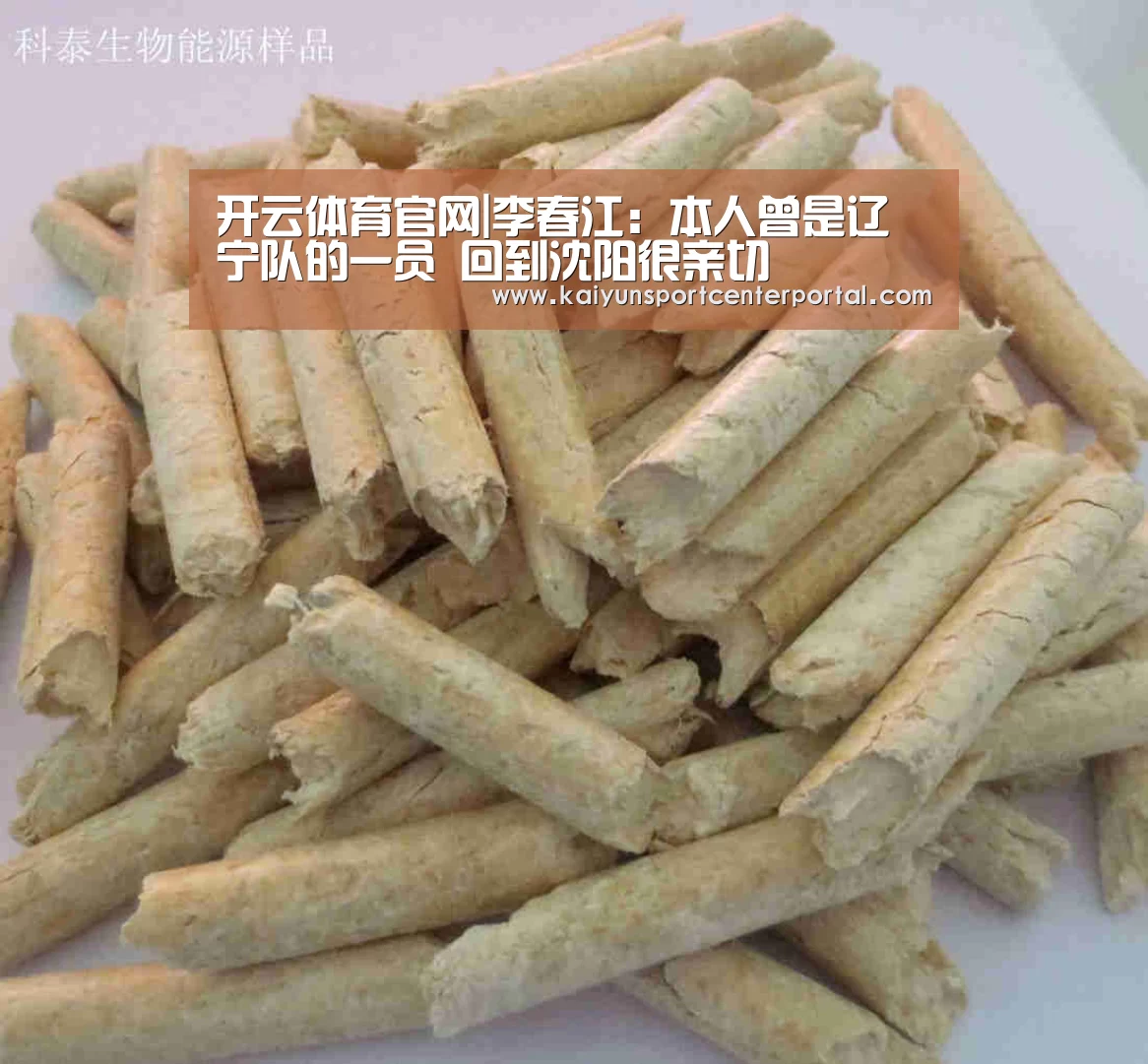 开云体育官网|李春江:本人曾是辽宁队的一员 回到沈阳很亲切(图2) 开云热门赛事